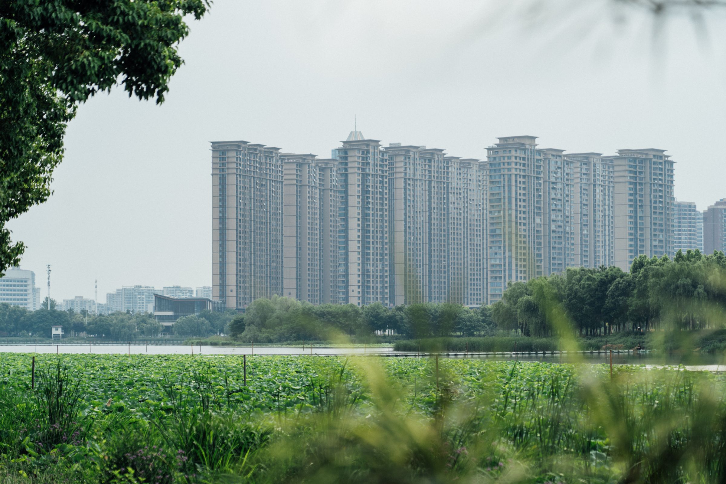 Photo of tall residential buildings adjacent to a lake in Wuhan.