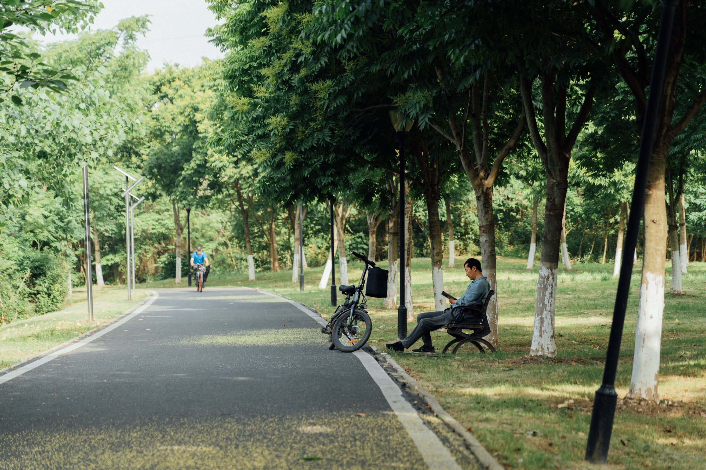 Photo of a man reading a book in a park in Wuhan.